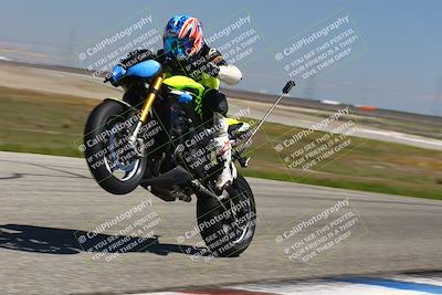 media/Mar-24-2025-2WTD (Mon) [[55b4b08488]]/B Group/1220pm (Wheelie Bump)/